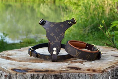 louis vuitton men's harness|louis vuitton small dog collar.